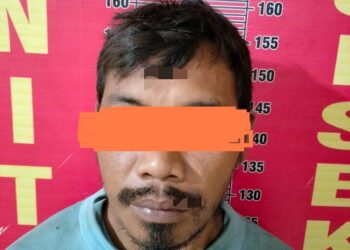 Pelaku berinisial RH (38) warga asal Desa Karta Dewa ini diamankan polisi berdasarkan LP / B / 10 / VI / 2022 / SPKT / Polsek Talang Ubi / Polres PALI / Polda Sumsel, tanggal 13 Juni 2023.