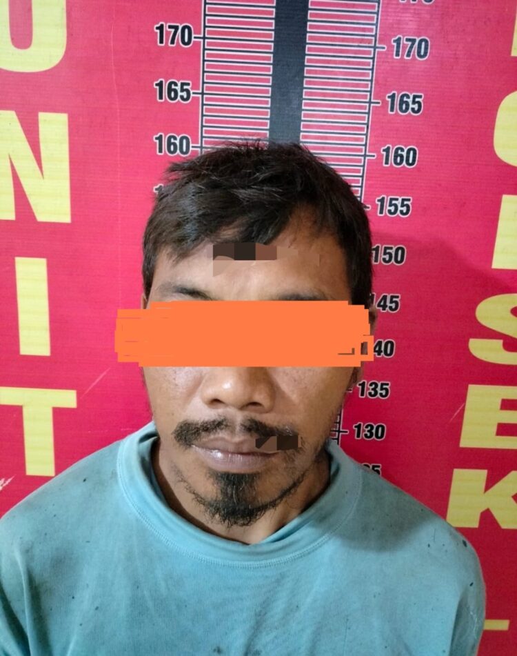 Pelaku berinisial RH (38) warga asal Desa Karta Dewa ini diamankan polisi berdasarkan LP / B / 10 / VI / 2022 / SPKT / Polsek Talang Ubi / Polres PALI / Polda Sumsel, tanggal 13 Juni 2023.