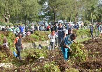 Kegiatan menggerakkan penghijauan dengan menanam beberapa jenis pohon ini, berlangsung di Arena Sabang Fair, tepatnya di samping kiri dan kanan Kantor BPKS, Jum'at (16/6/23).
