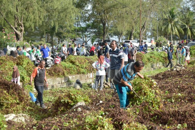 Kegiatan menggerakkan penghijauan dengan menanam beberapa jenis pohon ini, berlangsung di Arena Sabang Fair, tepatnya di samping kiri dan kanan Kantor BPKS, Jum'at (16/6/23).