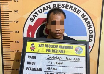 Pelaku pengedar narkoba jenis sabu di kabupaten PALI berhasil diamankan Satuan Reserse Narkoba Polres PALI Polda Sumsel pada Senin (19/6/2023) kemarin