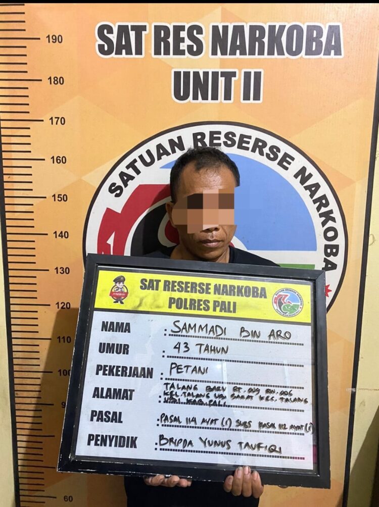 Pelaku pengedar narkoba jenis sabu di kabupaten PALI berhasil diamankan Satuan Reserse Narkoba Polres PALI Polda Sumsel pada Senin (19/6/2023) kemarin