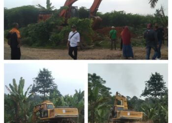 PT Perkebunan Nusantara II (PTPN 2) melakukan pembersihan areal HGU No.94 kebun Limau Mungkur Kecamatan STM Hilir, Rabu (21/6/2023).