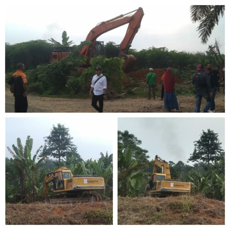 PT Perkebunan Nusantara II (PTPN 2) melakukan pembersihan areal HGU No.94 kebun Limau Mungkur Kecamatan STM Hilir, Rabu (21/6/2023).