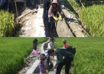 Program Percepatan Peningkatan Tata Guna Air Irigasi (P3-TGAI) Program Percepatan Peningkatan Tata Guna Air Irigasi Kelurahan Marihat Jaya