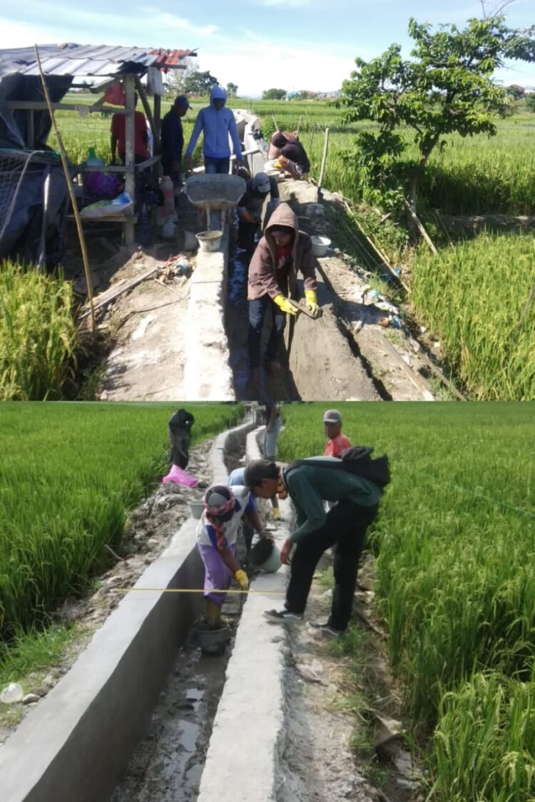Program Percepatan Peningkatan Tata Guna Air Irigasi (P3-TGAI) Program Percepatan Peningkatan Tata Guna Air Irigasi Kelurahan Marihat Jaya