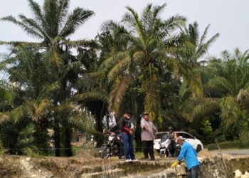 Pelebaran bahu jalan sepanjang 18 meter dengan lebar 2.5 m menggunakan biaya pribadi seorang Pengusaha muda yang bergerak di bidang jual beli sapi warga desa lobu rampah, kecamatan marbau, kabupaten labuhanbatu utara