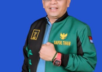 Saiful Thaib atau biasa disapa pon PMTOH pengusaha Jakarta putra Gampong Cot Le le kecamatan Seunagan Kabupaten Nagan Raya maju sebagai Caleg dari Partai persatuan pembangunan (PPP) Daerah pemilihan 1 yaitu kecamatan Seunagan, suka makmue, Seunagan Timur, Beutong dan Beutong Banggalang.