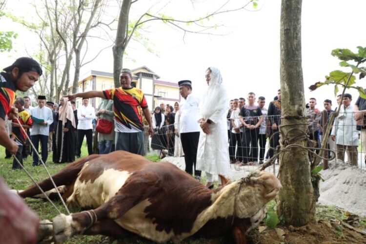 Kapolda Sumut, Irjen Pol RZ Panca Putra Simanjuntak menyaksikan penyembelihan kurban pada perayaan Idul Adha 1444 H di Mapolda Sumut, Kamis (29/6/2023). (Foto Dok/ Polda Sumut)