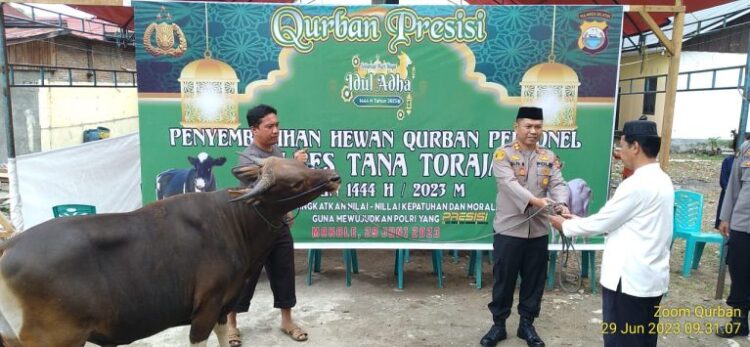 Polres Tana Toraja menggelar kegiatan Qurban dengan menyediakan 3 ekor sapi di hari raya Idul Adha 1444 Hijiriah 2023 Masehi, yang rencananya akan dibagikan kepada 115 warga kurang mampu, Kamis 29/6/2023.