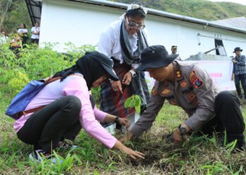 Ny. Widia Hardiman (Ketua Bhayangkari Cabang Samosir) bersama Pengurus Bhayangkari Cabang Samosir melaksanakan Kegiatan Penanaman Pohon, Selasa (04/7/2023).