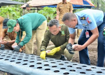Pj Wali Kota Sabang Reza Fahlevi menyerahkan dan ikut menanam bibit bawang merah, di lahan milik Muhammad, salah satu petani penerima bibit bawang tersebut, di Cot Mancang, Gampong Cot Bau, Sukajaya, Sabang.