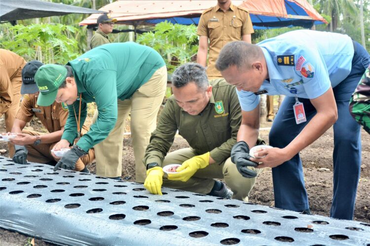 Pj Wali Kota Sabang Reza Fahlevi menyerahkan dan ikut menanam bibit bawang merah, di lahan milik Muhammad, salah satu petani penerima bibit bawang tersebut, di Cot Mancang, Gampong Cot Bau, Sukajaya, Sabang.