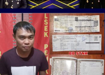 Pelaku Carles Antonion (34) warga asal Dusun IV Desa Air Itam Kecamatan Penukal, Kabupaten PALI ini ditangkap Tim Srigala Unit Reskrim Polsek Penukal Abab di Desa Payuputat, kecamatan Prabumulih Barat, kota Prabumulih Sumsel.