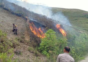 Kebakaran lahan melanda wilayah Perbukitan Paratusan Dusun I Desa Cinta Maju Kecamatan Sitio-tio, Kabupaten Samosir pada hari Rabu (19/07/ 2023) sekira pukul 12.00 WIB
