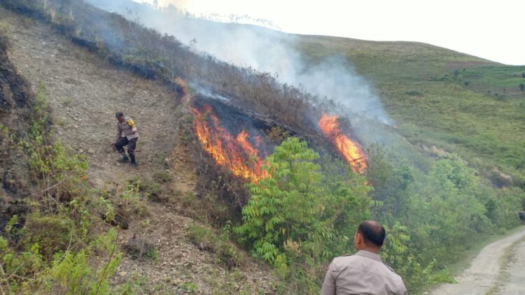 Kebakaran lahan melanda wilayah Perbukitan Paratusan Dusun I Desa Cinta Maju Kecamatan Sitio-tio, Kabupaten Samosir pada hari Rabu (19/07/ 2023) sekira pukul 12.00 WIB