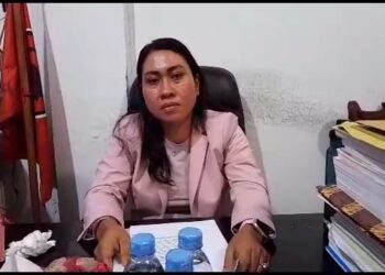 Anggota DPRD Padang Lawas (Palas) Jenti Mutiara Napitupulu