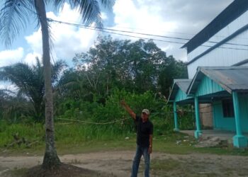 Warga Desa Sido mulyo Kecamatan Sungai menang Kabupaten Ogan Komering Ilir (OKI) Provinsi Sumatera selatan (SUMSEL), keluhkan karena Kabel arus listrik menuju rumah warga tidak mempunyai tiang.