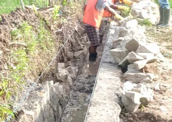 Pembangunan Jaringan Irigasi Tersier Dusun Tiga Sidoarjo Nagori Maligas Tongah Kabupaten Simalungun