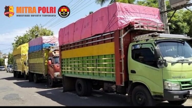 Kejaksaan Negeri Sinjai kembali menerima berkas tahap 2 dari pihak Penyidik Polres Sinjai.