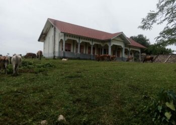 Gedung Sekolah Menengah Kejuruan Swasta (SMKS) kesehatan Darussalam yang Berlokasi di Gampong Cot Mamplam kandang kecamatan Muara dua kota Lhokseumawe