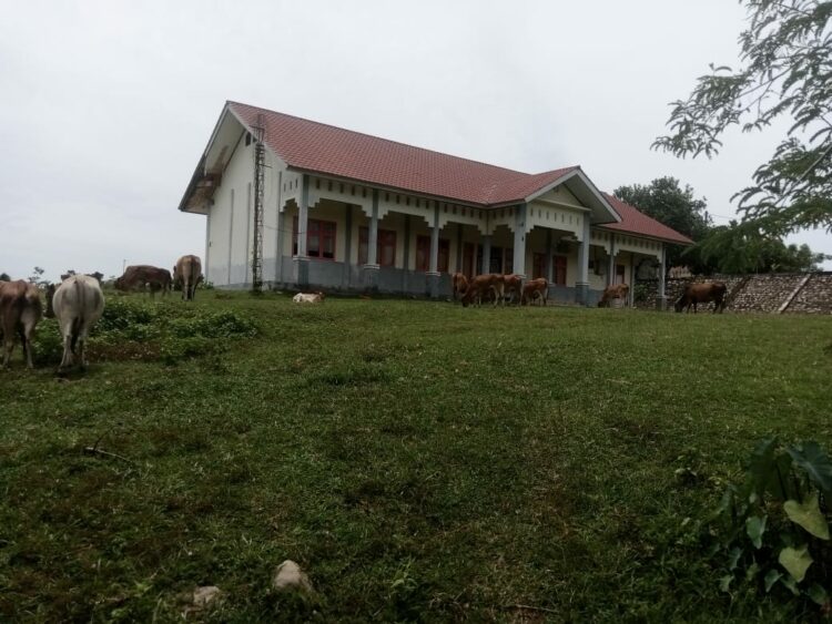 Gedung Sekolah Menengah Kejuruan Swasta (SMKS) kesehatan Darussalam yang Berlokasi di Gampong Cot Mamplam kandang kecamatan Muara dua kota Lhokseumawe