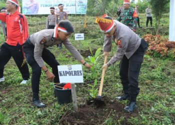 Polres Samosir Laksanakan penanaman bibit pohon di Lereng Gunung Pusuk Buhit Sigulatti di Kecamatan Sianjur Mula-mula Kabupaten Samosir