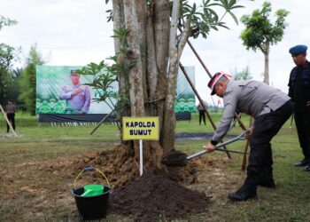 TANAM POHON: Kapolda Sumut Irjen Pol Agung Setya di area Perkebunan Mapoldasu, Rabu (23/8/2023). (Foto Dok/ Polda Sumut)