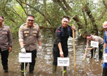 Jajaran Polresta Manado melakukan penanaman 1000 bibit mangrove di Pesisir Pantai Molas Kecamatan Bunaken Kota Manado, Rabu (23/8/2023).