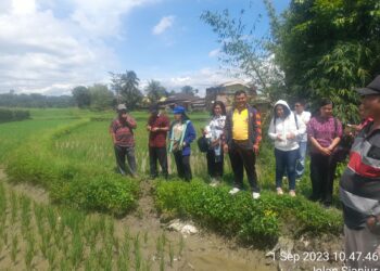 Bhabinkamtibmas melakukan monitor kegiatan persiapan program Mina Padi dan pengecekan percobaan penanaman varietas padi unggul di Hamparan Persawahan Sianjur, Jalan Sianjur Nauli Kelurahan Simarimbun, Kecamatan Siantar Marimbun, Kota Pematangsiantar.