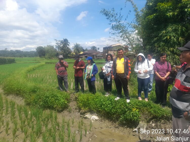 Bhabinkamtibmas melakukan monitor kegiatan persiapan program Mina Padi dan pengecekan percobaan penanaman varietas padi unggul di Hamparan Persawahan Sianjur, Jalan Sianjur Nauli Kelurahan Simarimbun, Kecamatan Siantar Marimbun, Kota Pematangsiantar.