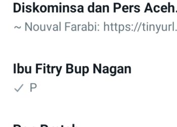 PJ Bupati Nagan Raya, Fitriany Farhas diduga memblokir sejumlah nomor hp wartawan yang bertugas di Nagan Raya