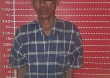 DIAMANKAN : WR (56), teeduga pelaku pembacokan teehadap abang kandungnya, diamankan di Polsek Firdaus. (Foto Dok/AKP Idham Halik)