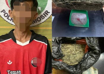 Tersangka BP (30) laki-laki, berprofesi sebagai petani/pekebun, beralamat di Desa Nainggolan Kec. Nainggolan Kabupaten Samosir beserta barang bukti yang diamankan