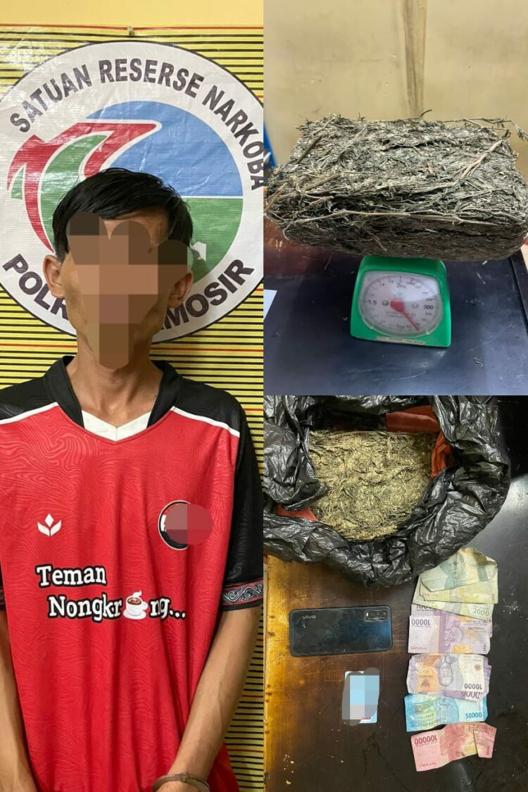 Tersangka BP (30) laki-laki, berprofesi sebagai petani/pekebun, beralamat di Desa Nainggolan Kec. Nainggolan Kabupaten Samosir beserta barang bukti yang diamankan