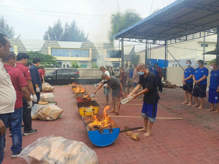 TERSANGKA BAKAR GANJA: Para tersangka narkoba membakar barang bukti ganja di kantor BNNP Sumut, Jumat (22/9/2023).(Foto Dok/BNN)