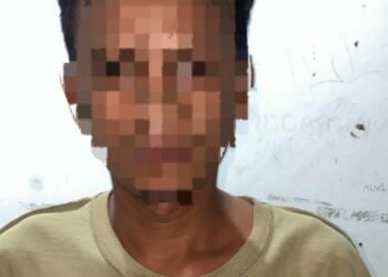 Pelaku penganiayaan tersebut adalah FR, seorang pria berusia 20 tahun dengan agama Kristen, yang bekerja sebagai sopir beralamat di Kelurahan Kombos Barat Lk.VI, Kecamatan Singkil.