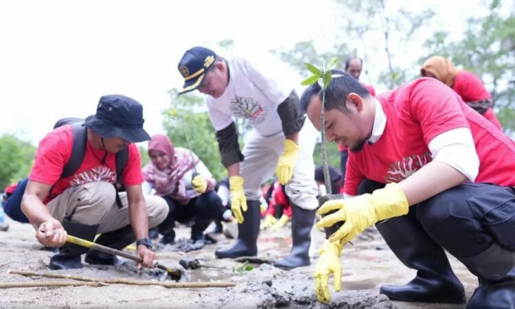 Badan Pembinaan Ideologi Pancasila (BPIP) bersama Pemerintah Kota Sabang melakukan penanaman bibit pohon mangrove.
