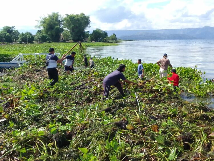 Hari kedua rangkaian kegiatan pembersihan eceng gondok di sekitar Pantai Danau Toba wilayah hukum Polres Samosir, kembali dilaksanakan dengan semangat dan kesiapan penuh. Jumat(29/09/2023) Pukul 09:00 WIB