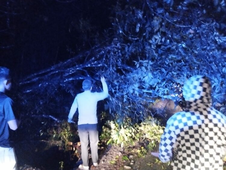 Personil Sat Samapta Polres Dairi dibawah pimpinan Kasat Samapta Polres Dairi lalukan Pembersihan Pohon Tumbang yang melintang di Jalan Lae Pondom Kecamatan Sumbul Kabupaten Dairi. Rabu Malam 11-10-2023.