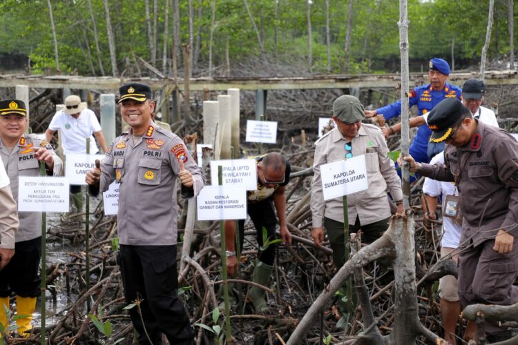 Polda Sumut bersama Pemprov beserta stakeholder terkait menanam 10.000 bibit pohon magrove di Desa Lubuk kertang, Kecamatan Brandan Barat, Kabupaten Langkat, Kamis (12/10/23).