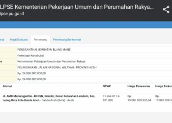Transparansi Tender Indonesia (TTI) menemukan kesalahan Fatal pada Pemenang Tender Paket Penggantian Jembatan Blang Mane Kabupaten Peusangan Kabupaten Bireun Nilai Penawaran Rp.19.083.988.905 dari HPS Rp.24.000.000.000,-.