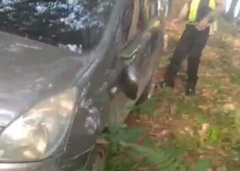 DIAMANKAN : Personel Unit Gakkum Satlantas Polres Sergai menemukan mobil terduga pelaku tabrak lari yang ditinggalkankan pengemudinya di tengah areal kebun karet di Dusun I Senayan Desa Simpang Empat, Kecamatan Seirampah untuk selanjutnya diamankan di Unit Gakkum sebagai barang bukti, Kamis (16/11/2023). (Foto Dok/Humas Polres Sergai)