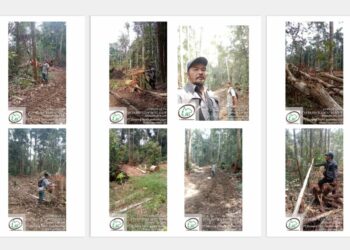 Dugaan penjarahan hutan dan illegal logging oleh PT CSS di Kalimantan Tengah.