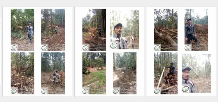 Dugaan penjarahan hutan dan illegal logging oleh PT CSS di Kalimantan Tengah.