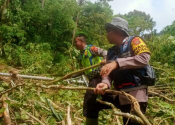 Personil Satuan Lalu Lintas polres Nagan Raya beraksi bersama personil Polsek beutong dan Masyarakat, membersihkan Jalan Pasca Longsor di Beutong Ateuh Banggalang Kabupaten Nagan Raya, Selasa (28/11/23).