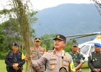 TUNJUKKAN POHON GANJA: Kapolda Sumut, Irjen Pol Agung Setya Imam Effendi  menunjukkan pohon ganja saat operasi pemberantasan ladang ganja terbesar wilayah Kabupaten Mandailing Natal (Madina), Sumatera Utara, Sabtu (11/11/2023). (Foto Dok/ Polda Sumut)