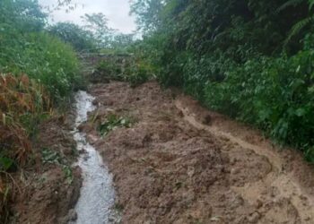 Bencana tanah longsor serta pohon tumbang terjadi beberapa titik di jalan menuju akses penghubung Desa Pandan 2 dengan Bakal Kecamatan Siempat Nempu Hulu, Kabupaten Dairi Sabtu (18/11/23)