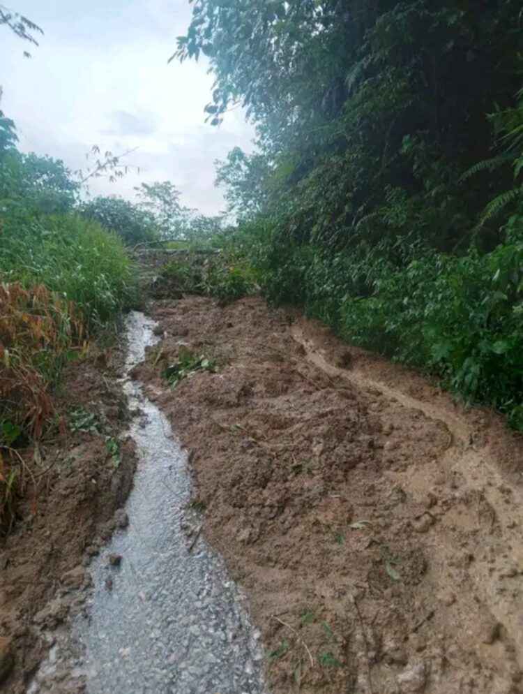 Bencana tanah longsor serta pohon tumbang terjadi beberapa titik di jalan menuju akses penghubung Desa Pandan 2 dengan Bakal Kecamatan Siempat Nempu Hulu, Kabupaten Dairi Sabtu (18/11/23)