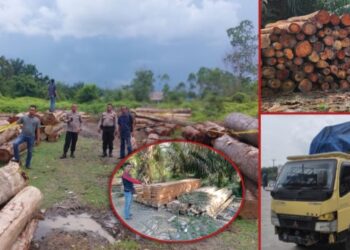 Polsek Kampar Kiri menemukan hamparan kayu hasil ilegal logging dan truk yang mengangkut kayu ilegal di Desa Sungai Sarik, Kampar, Senin (20/11/2023). (Foto : Dok/Polsek Kampar Kiri)